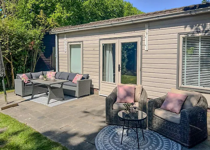 The Soultree - Stylish Nature Near Schoorl Dunes & Bergen